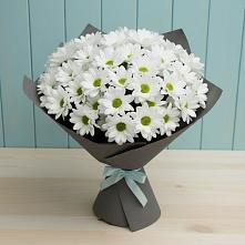 Букет цветов из:  Хризантемы #REPLACE_PRED# Новогуровском