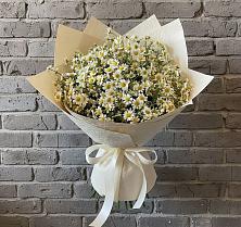 Букет цветов из:  Ромашки в Новогуровском