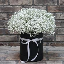 Цветочная композиция из Гипсофила в шляпной коробке #REPLACE_PRED# Новогуровском