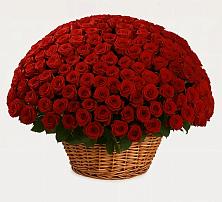 Премиум букет из: Розы #REPLACE_PRED# Новогуровском